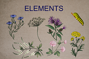 Meadow collection, a Decorative Illustration by sizileon (Thumbnail 3 of 8)