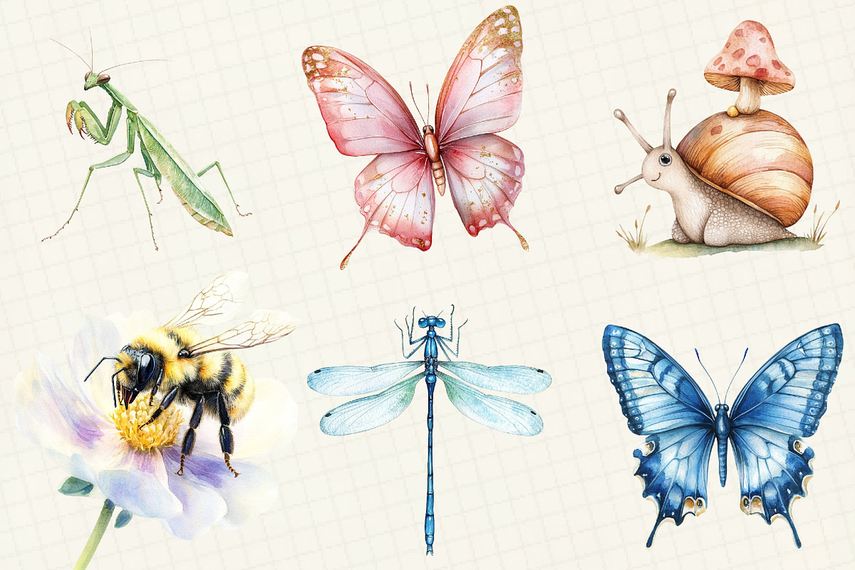 Watercolor Bugs Sublimation Clipart, an Illustration by OK Design (Photo 3 of 5)