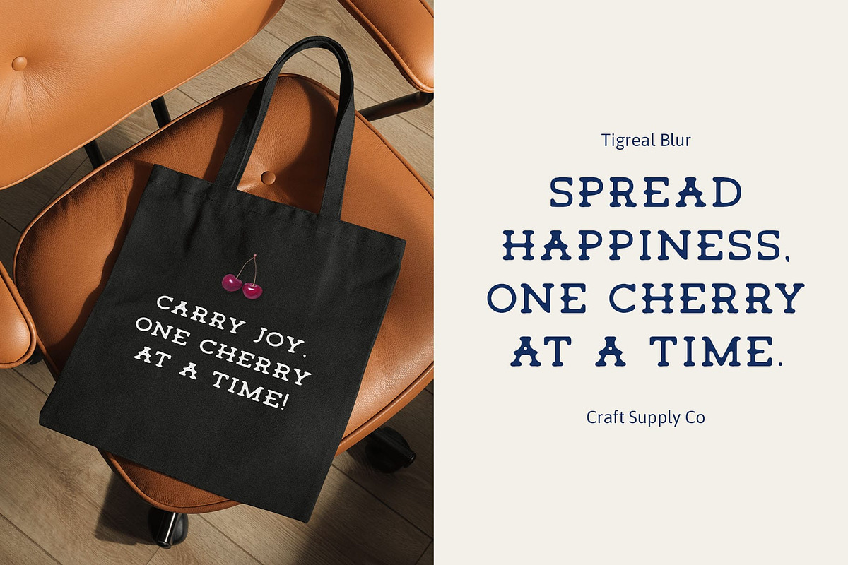 Tigreal Blur, a Serif Font by Craft Supply Co. (Photo 7 of 8)