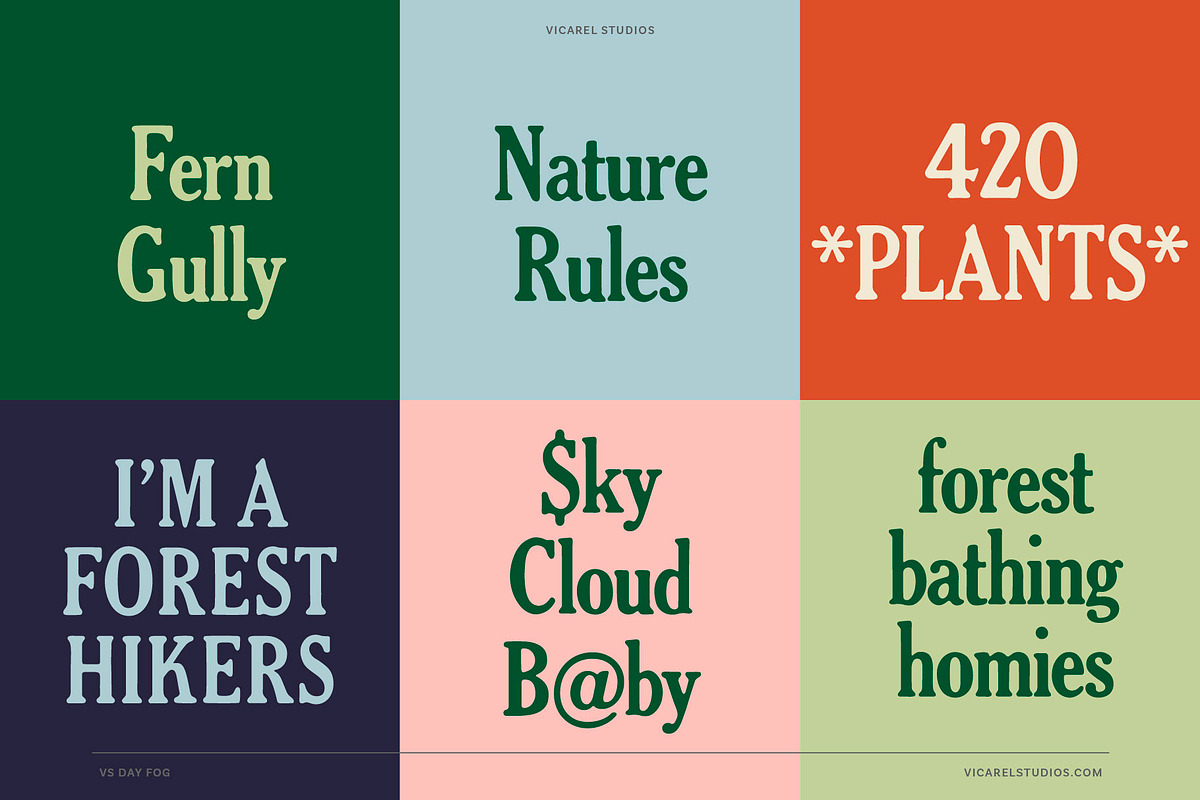 Day Fog – Hand drawn Vintage Serif, a Serif Font by Vicarel Studios (Photo 10 of 12)