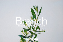 Branch - Elegant & Modern Sans Serif