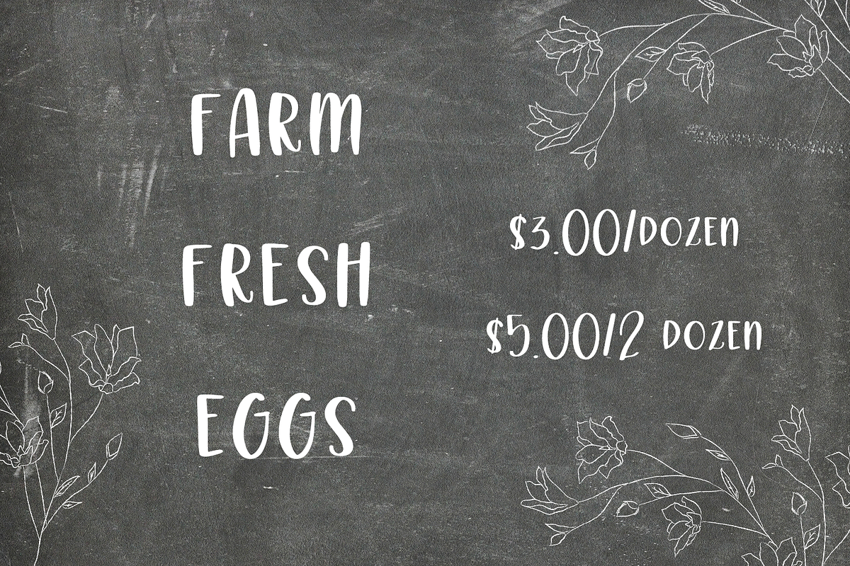 Rustic Market Sans Font, a Sans Serif Font by Beck McCormick (Photo 5 of 10)