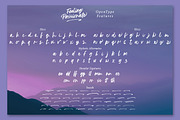 Feeling Passionate - Brush Font, a Script Font by din-studio.com (Thumbnail 10 of 11)