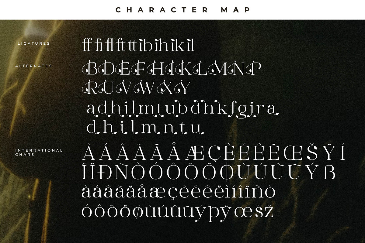 Maiken Modern Stylish Font, a Serif Font by Letterena Studios (Photo 14 of 15)