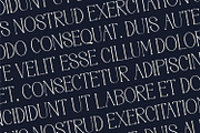 Moonlife - Serif Typeface Font, a Serif Font by Rishsketch (Thumbnail 12 of 15)