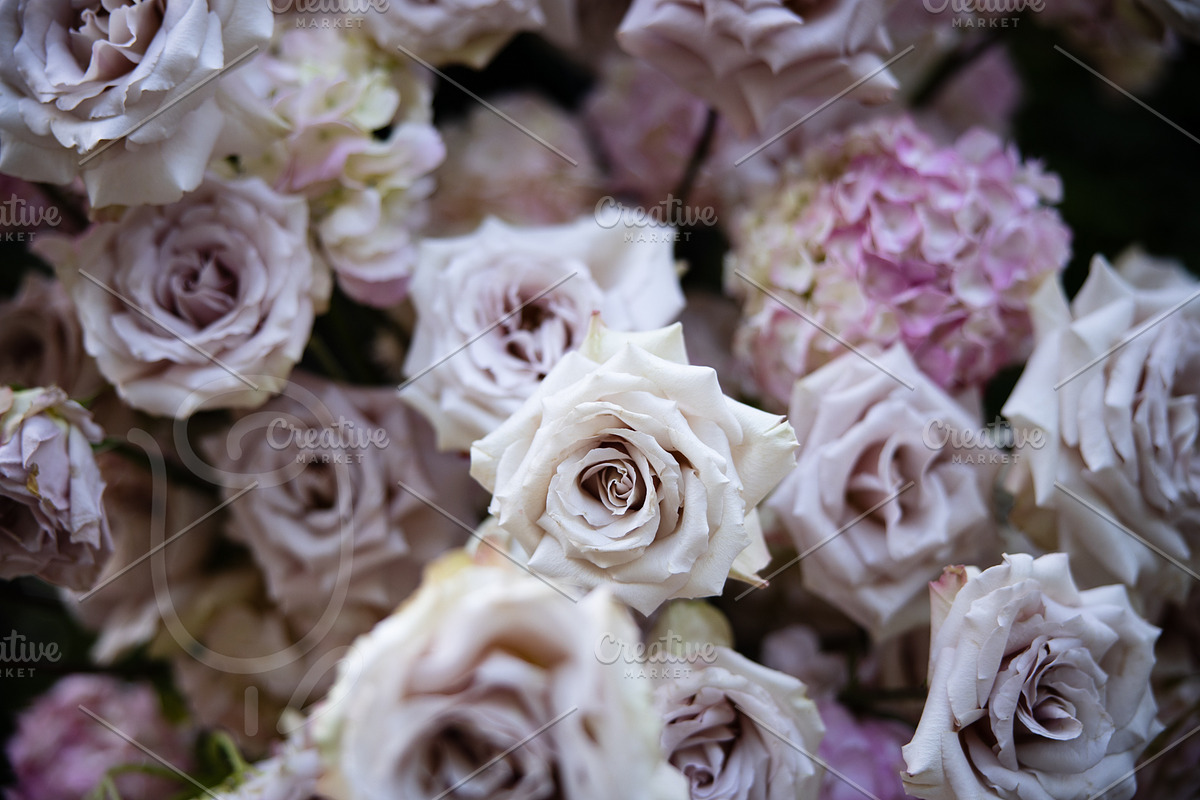 A Garden of Roses | Wedding, Events, a Nature Photo by Farewell (Photo 20 of 41)