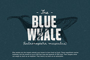 Hawkes Handmade Collection, a Sans Serif Font by Kimmy Design (Thumbnail 6 of 22)