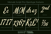 Mervale Script Pro, a Script Font by Stiggy & Sands (Thumbnail 4 of 5)