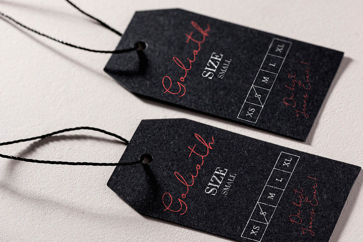 Pasttemy | Monoline Stylish Script, a Script Font by Denustudios (Photo 6 of 15)