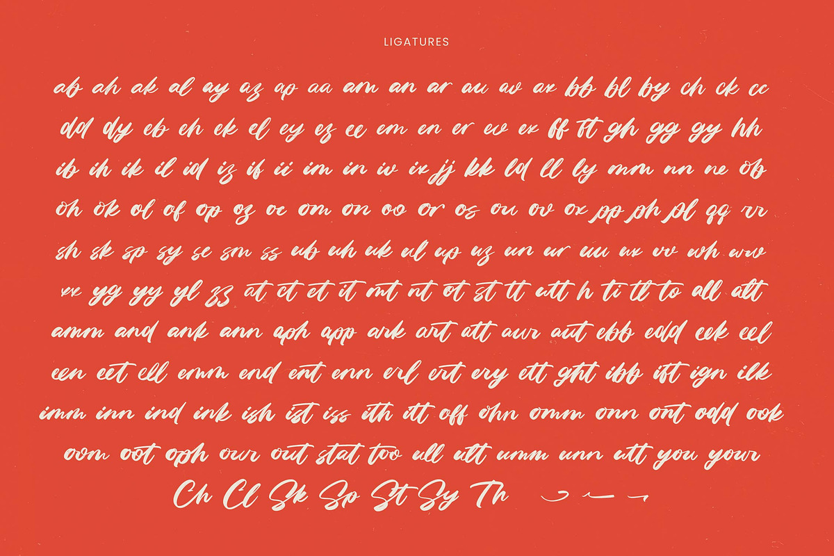Fasten Dhecta Modern Brush Font, a Script Font by Letterena Studios Script (Photo 18 of 20)