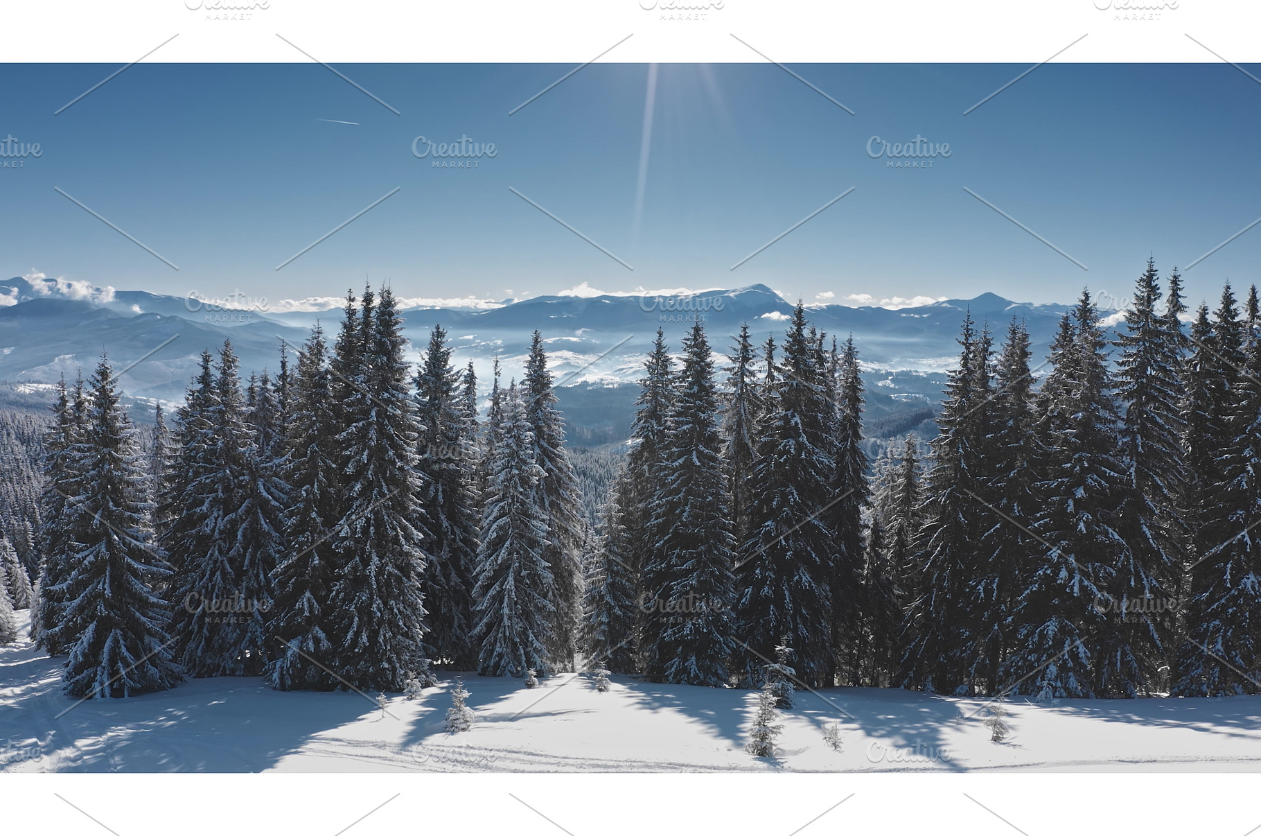 Sun shining over snowy pine forest, a Nature Photo by Goinyk