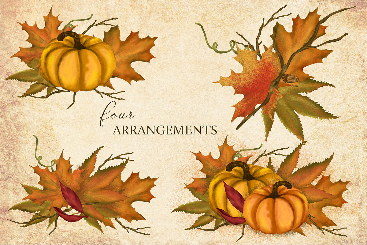 Warm Autumn Clipart Collection, an Illustration by savanamm design (Photo 3 of 5)