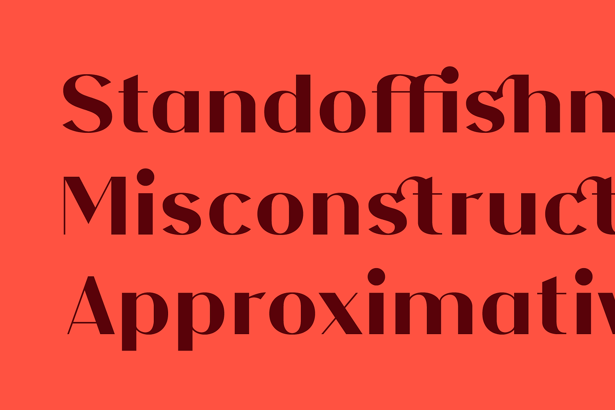 NF Elena Font, a Sans Serif Font by NicolassFonts (Photo 2 of 5)