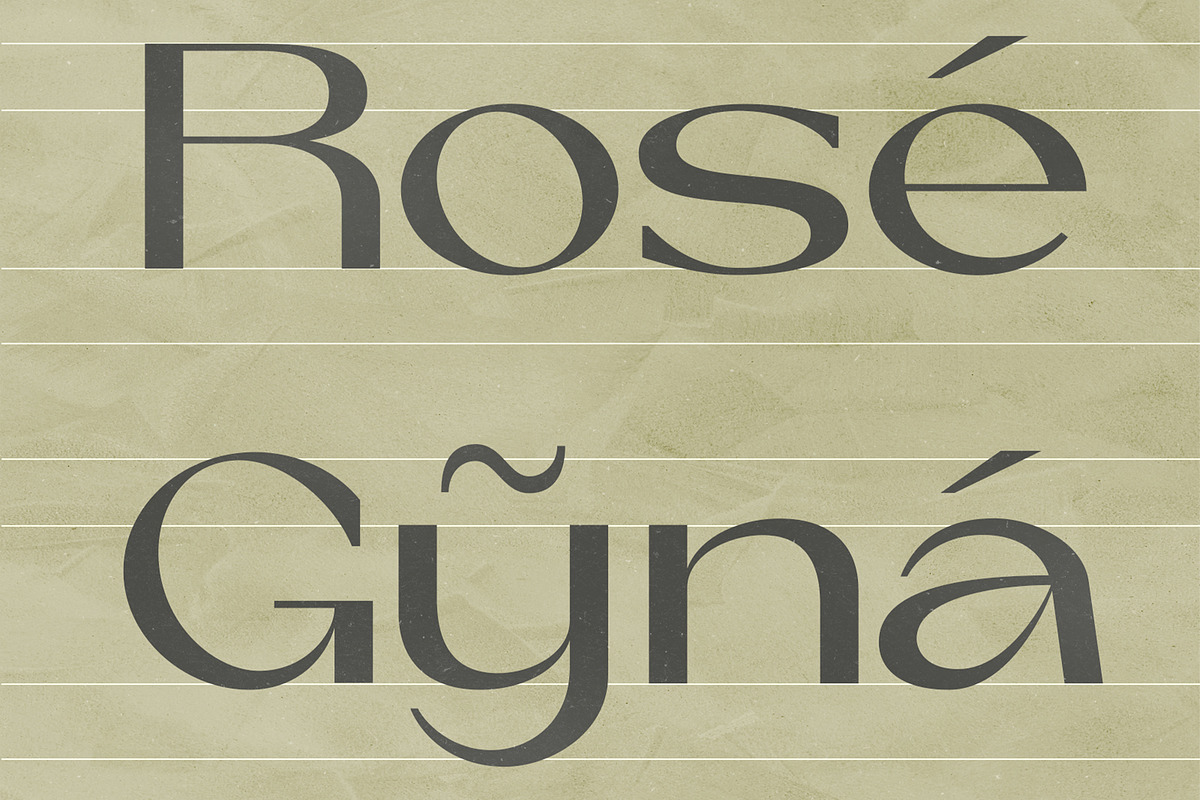La Volicia Typeface, a Sans Serif Font by Prominent & Affluent (Photo 12 of 12)