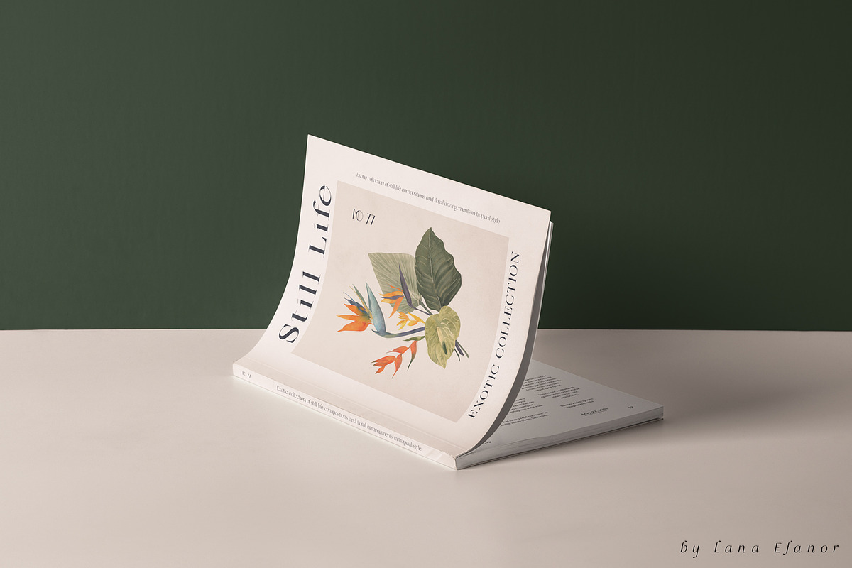 STILL LIFE tropical floral fruit, a Food Illustration by Lana Elanor (Photo 2 of 12)