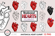 Anatomical Heart Clipart, an Illustration by SLS Lines (Thumbnail 1 of 5)