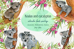Koala & eucalyptus set illustration