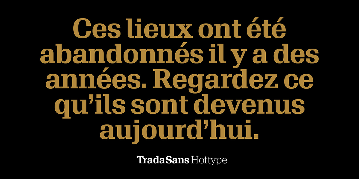 TradaSerif, a Serif Font by Hoftype (Photo 11 of 15)