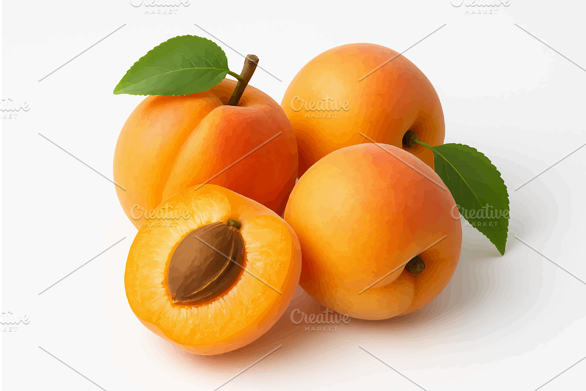 Fresh Apricots with Leaves on White, a Food Illustration by AlexArt