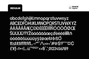 Neueral Grotesk Family, a Sans Serif Font by Fortunes Co (Thumbnail 6 of 12)