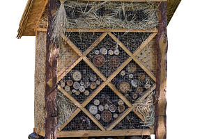 Large wooden insect house or bee hotel with thatched roof and wo, an Architecture Photo by ndanko