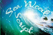 Seaweed Script, a Script Font by tmcom (Thumbnail 5 of 7)