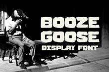 BOOZE GOOSE MESSY DISPLAY FONT