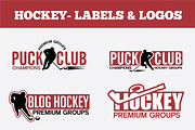 SPORTS BADGES AND LOGO BUNDLE, a Branding & Logo Template by shazi (Thumbnail 12 of 31)