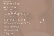 Relyagih Modern Serif Font, a Serif Font by Storytype Studio (Thumbnail 13 of 15)