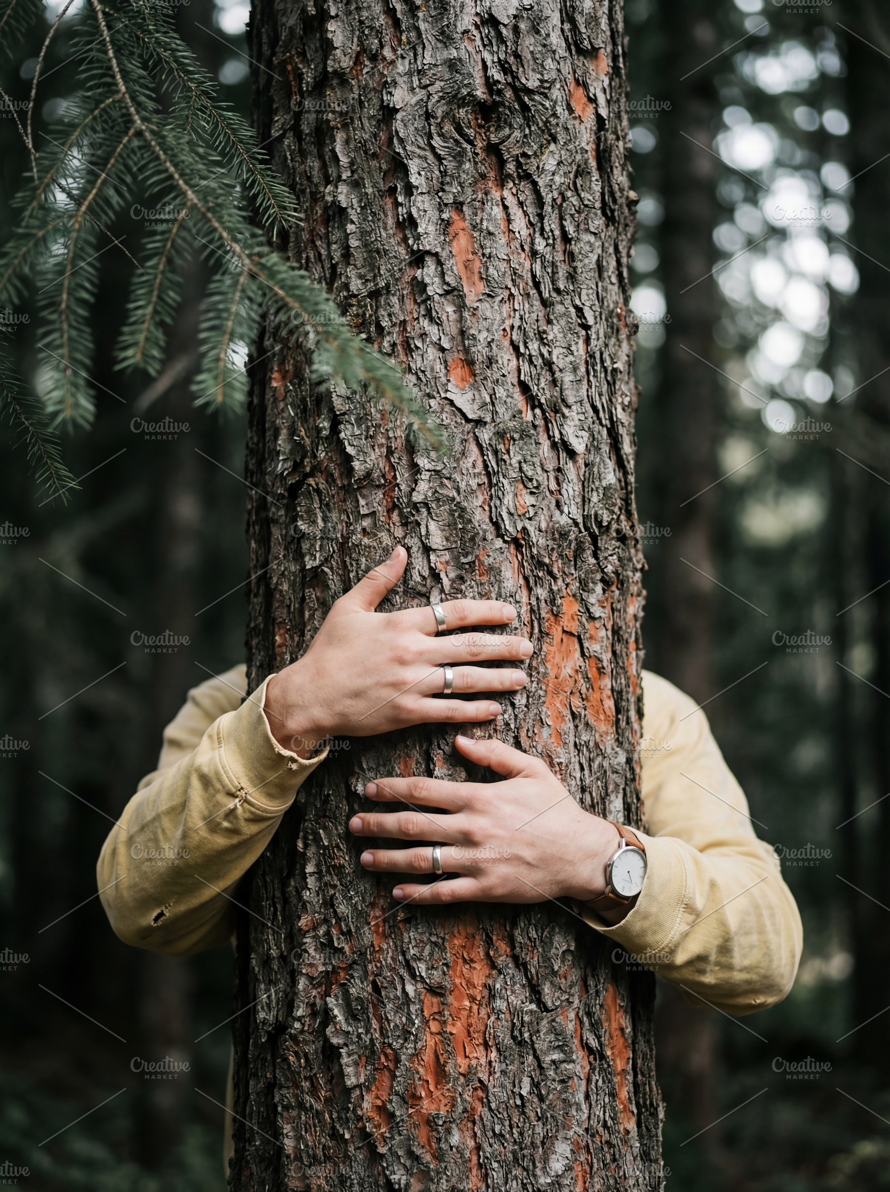 Person Hugging Large Tree Trunk, a Nature Photo by Virgo Studio