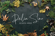 Gahime Signature, a Handwritten Font by Eltypesstudio (Thumbnail 9 of 9)