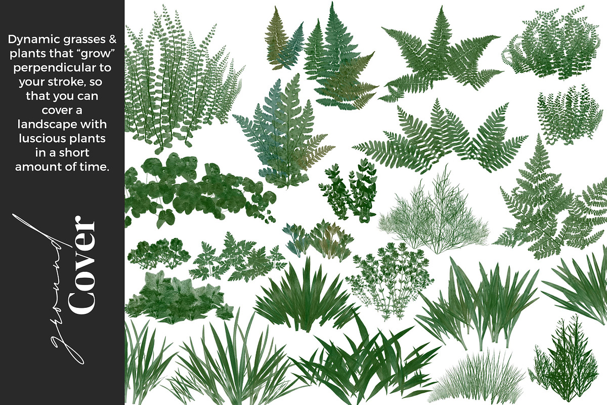 Greenery Brushes for Procreate, a Brush Add-On by AJ Brushes (Photo 7 of 9)