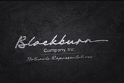 Michigan Signature, a Script Font by Cititype (Thumbnail 3 of 14)