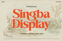 Singba Display