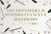 Conquer - modern serif Typeface, a Serif Font by Font Kingdom (Thumbnail 3 of 4)