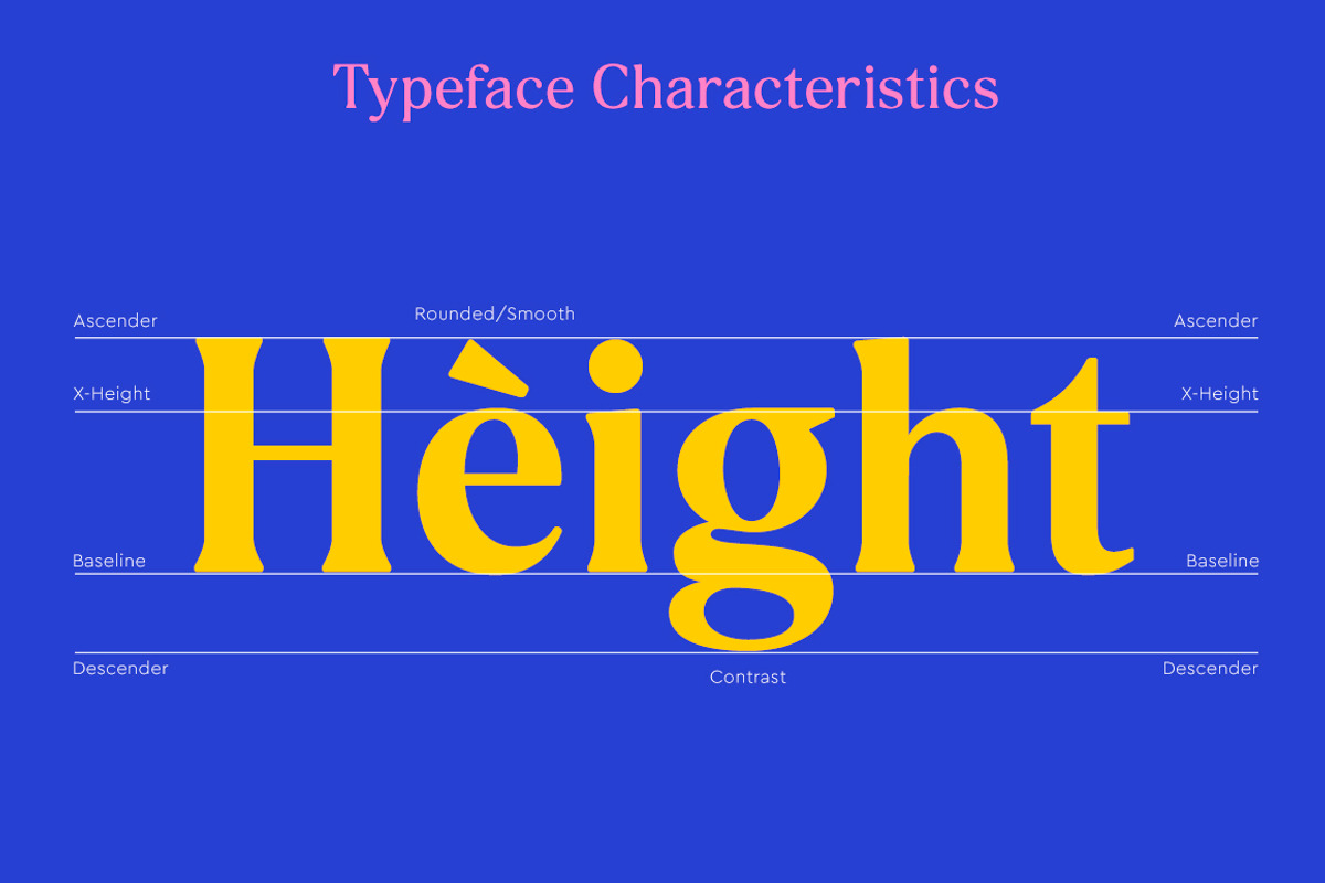 Delvona Serif Family, a Serif Font by Mulkan Nazir (Photo 6 of 15)