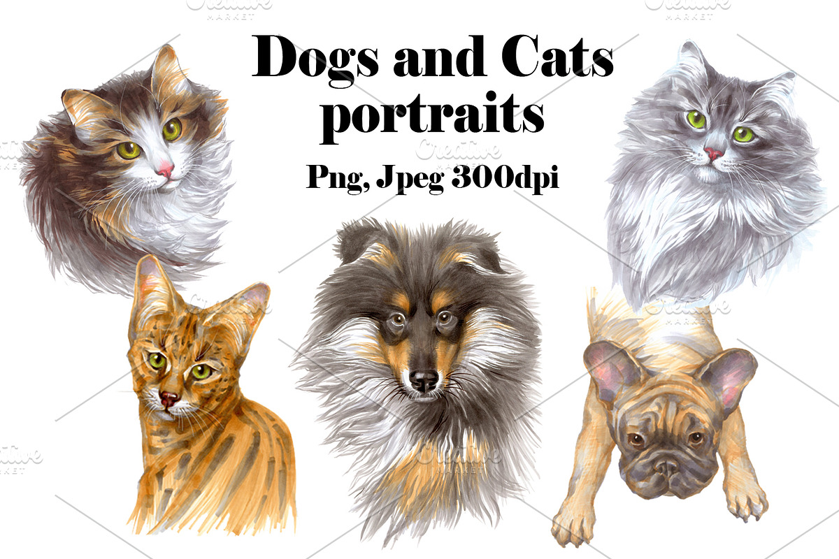 Dogs and Cats portraits, an Object Graphic by ViktoriArt (Photo 1 of 8)