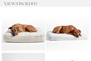Pet Bed Mockups with Smart Object, a Product Mockup by mock-ups (Thumbnail 2 of 13)