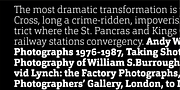 Orgon Slab, a Slab Serif Font by Hoftype (Thumbnail 5 of 30)
