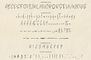 Moltena Script Font, a Script Font by NTC Graphic (Thumbnail 8 of 9)