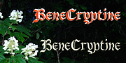 BeneCryptine, a Blackletter Font by Ingrimayne Type (Thumbnail 2 of 6)