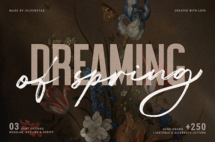 Dreaming Of Spring Stylish Font Duo, a Sans Serif Font by SilverStag Type Foundry