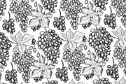 Grape Vector Collection, a Decorative Illustration by Lubov Illustrations Shop (Thumbnail 5 of 5)