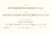 Gineby - Serif Typeface Font, a Serif Font by Rishsketch (Thumbnail 14 of 16)