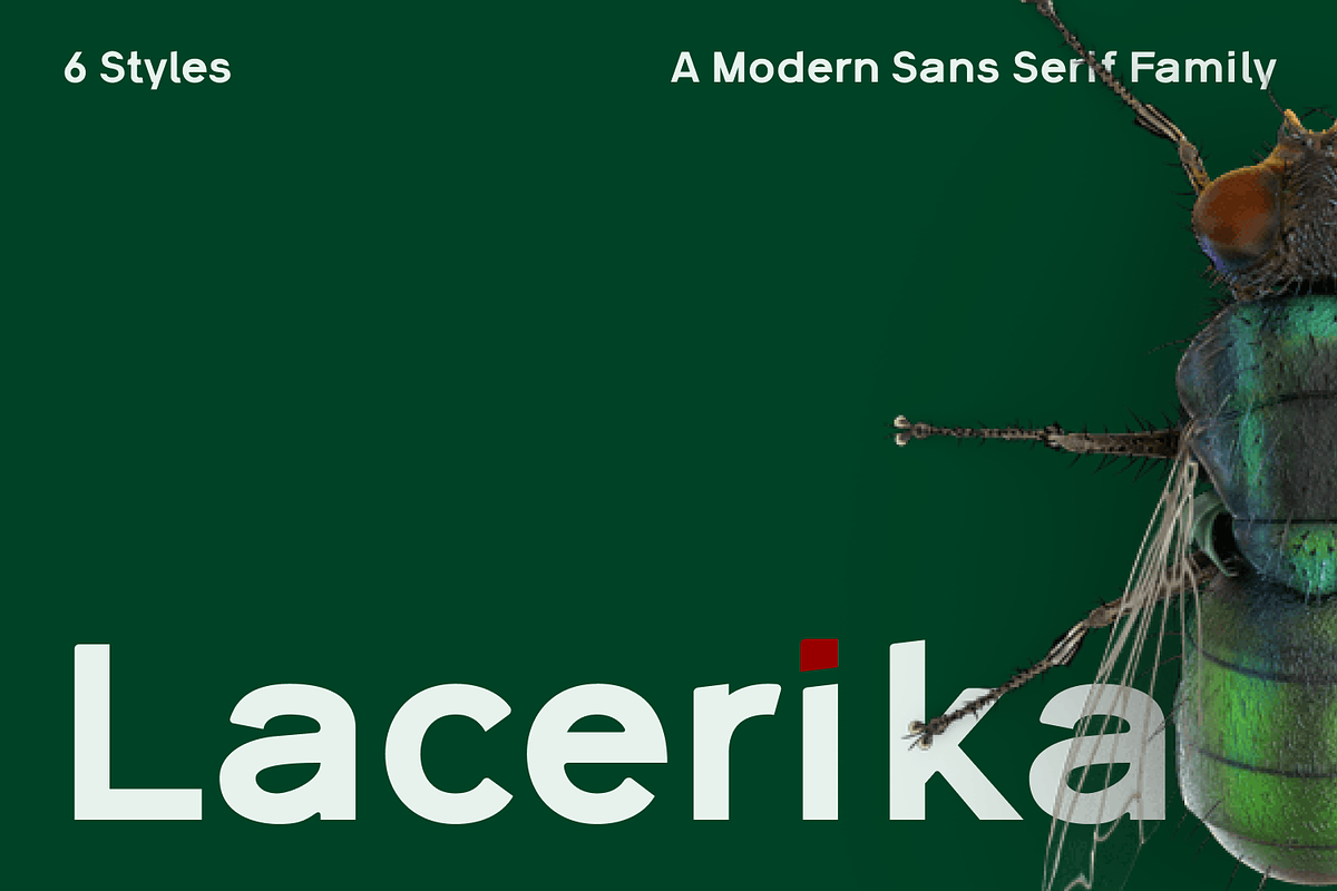 Lacerika Modern Sans Serif Font, a Sans Serif Font by IWMType (Photo 1 of 7)
