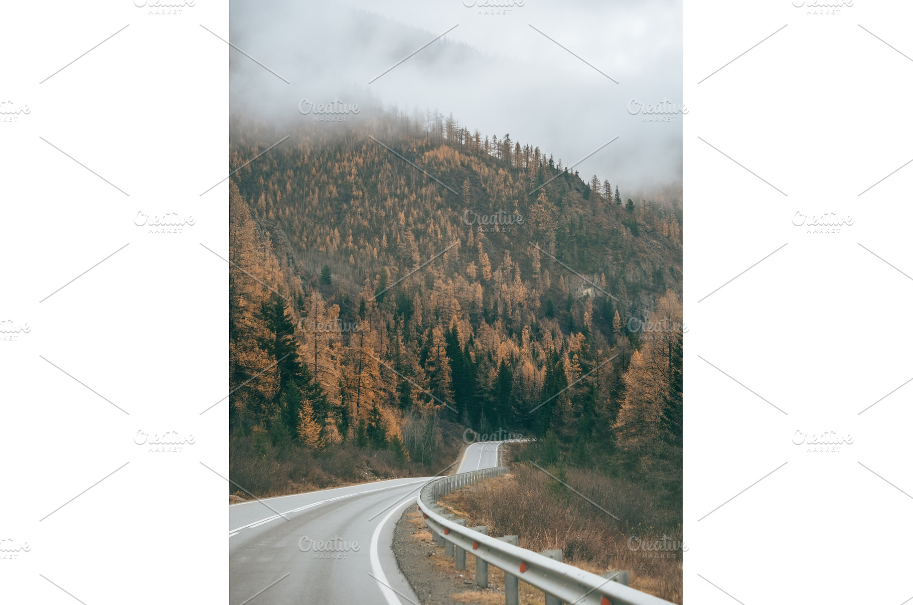 Autumn view of Altai Mountains on, a Nature Photo by Fascinadora