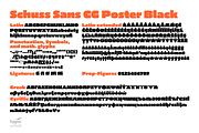 Schuss Sans CG Poster Black, a Sans Serif Font by typic schuss (Thumbnail 11 of 15)