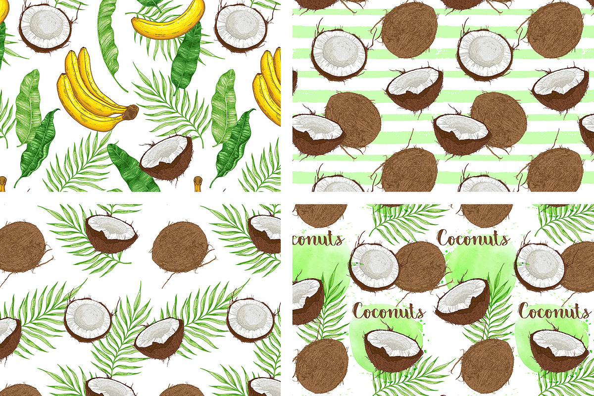 Coconut Design Kit, a Decorative Illustration by Artspace (Photo 4 of 6)