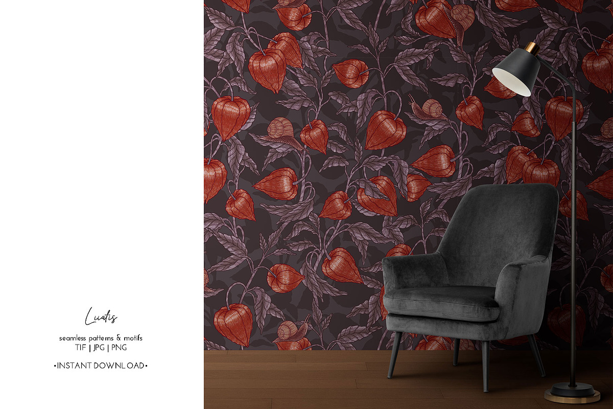 PHYSALIS GARDEN — Botanical Patterns, a Decorative Illustration by Liiafis (Photo 14 of 17)