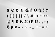 Valmora - Vintage Display Serif, a Serif Font by RC graphics (Thumbnail 3 of 7)